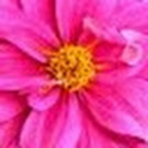 Meet your Posher, Sabrina